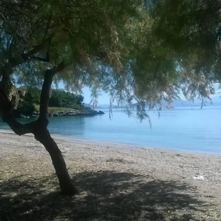 Dom wakacyjny Your House By The Sea *